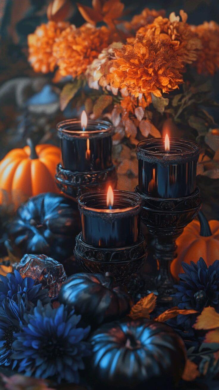 Midnight Harvest Collection