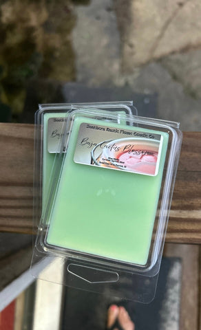 Handcrafted Baja Cactus Wax Melts – Relaxing Tropical Scent – Long-Lasting Home Fragrance