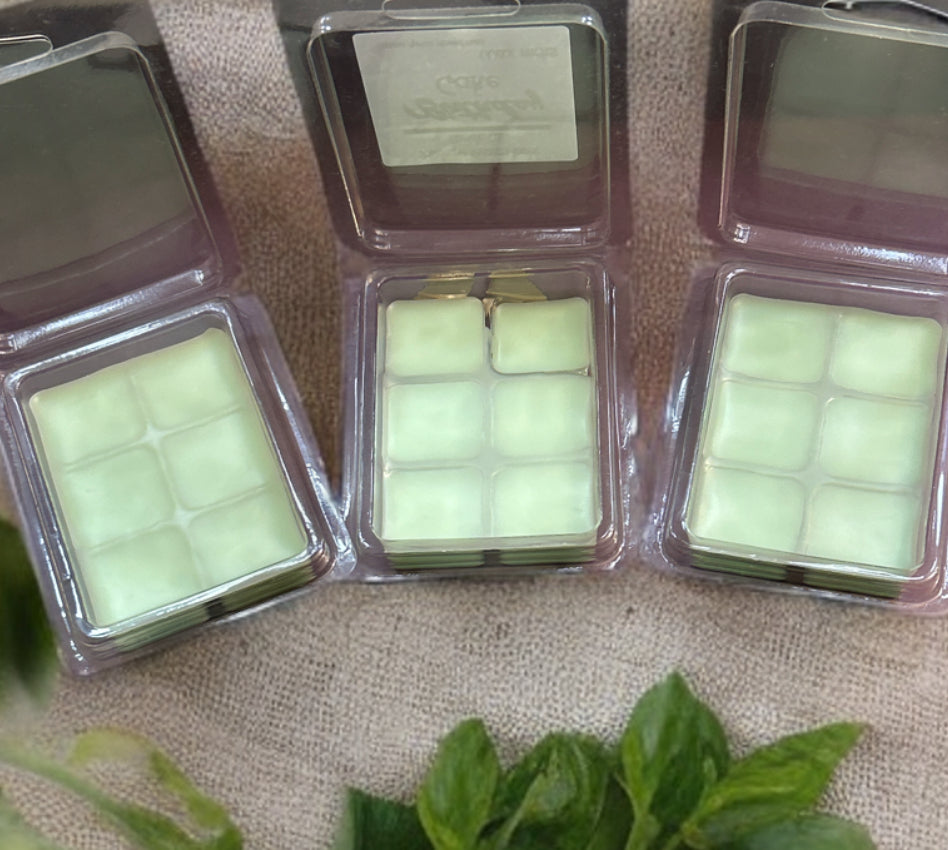 Birthday Cake – Hand-Poured Wax Melt