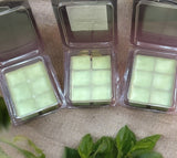 Birthday Cake – Hand-Poured Wax Melt