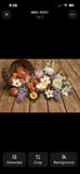 Peach Magnolia – 7.5oz Paint Tin Candle – Cotton Wick